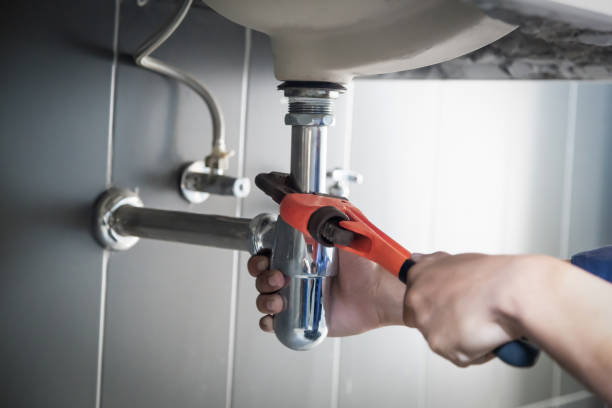 Professional Plumbing services in Ann Arbor, MI